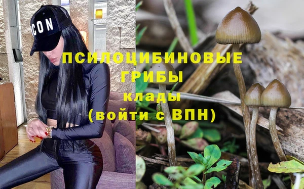 героин Лиски